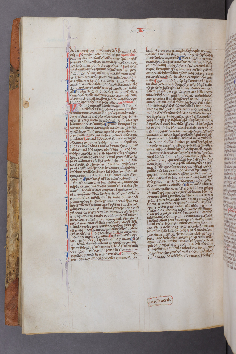 Folio 119 verso